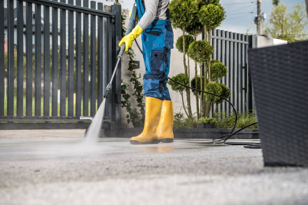 Best Roof Pressure Washing  in Abita Springs, LA
